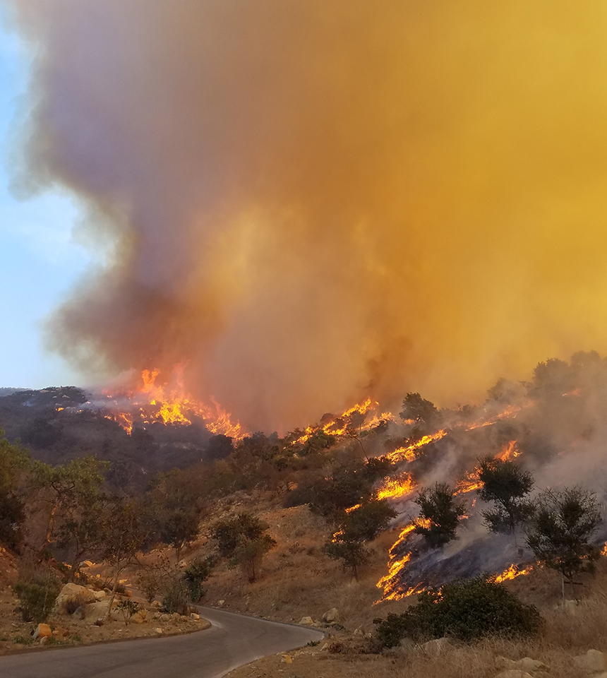 FireSHED Forestry | image of hillside on fire